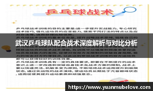 武汉乒乓球队配合战术深度解析与对比分析