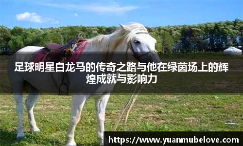 竞技宝JJB