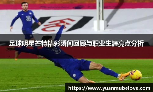 JJB竞技宝官网