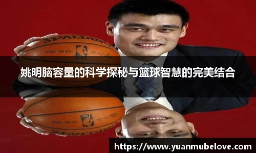 姚明脑容量的科学探秘与篮球智慧的完美结合