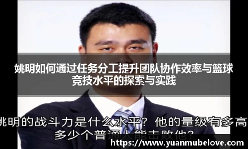 姚明如何通过任务分工提升团队协作效率与篮球竞技水平的探索与实践