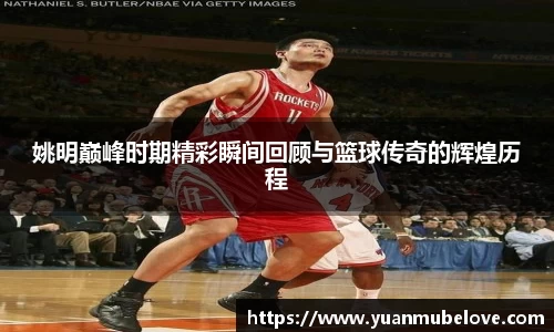 JJB竞技宝官网