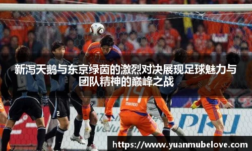 新泻天鹅与东京绿茵的激烈对决展现足球魅力与团队精神的巅峰之战